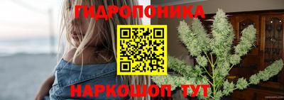 стафф Бугуруслан